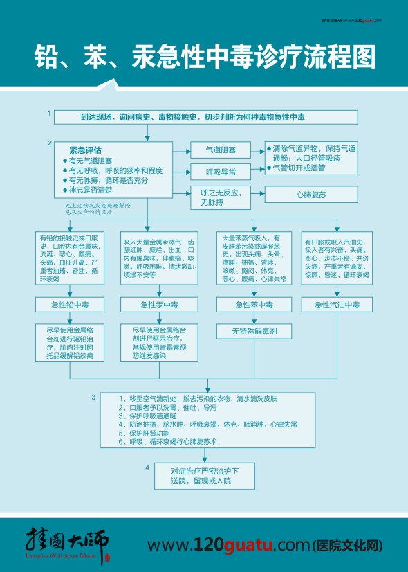 鉛、笨、汞急性中毒診療流程圖 醫(yī)院急救流程