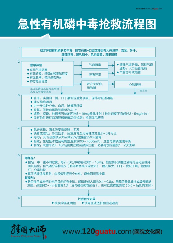 急性有機(jī)磷中毒搶救流程圖 醫(yī)院急診科圖片