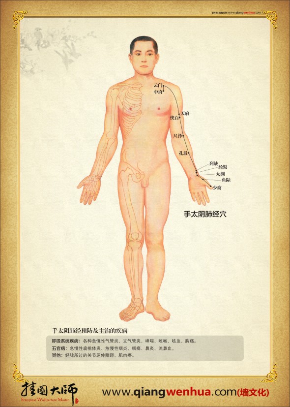 手太陰肺經穴位圖 中醫(yī)人體穴位圖