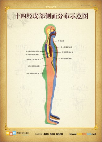 人體側面穴位圖 人體穴位示意圖 人體穴位位置圖  