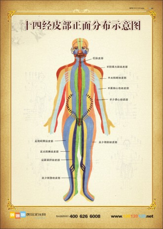 人體正面穴位示意圖 人體穴位分布圖 十四經皮部正面分布示意圖 